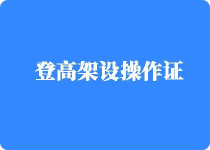 操鸡小内内登高架设操作证